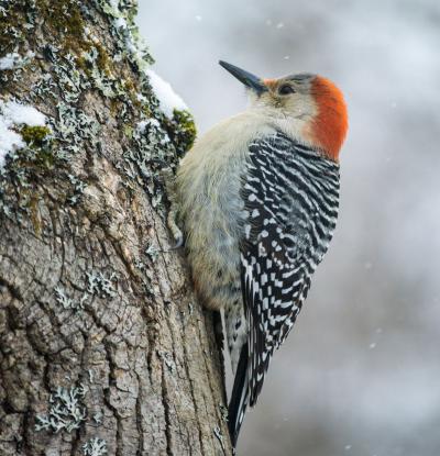 Feature image for To Do Justice to the Experience