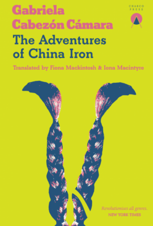 Feature image for A Gaucho Novel for the Twenty-First Century