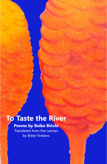 Feature image for 10 Questions for Bitite Vinklers