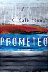 10 Questions for C.Dale Young
