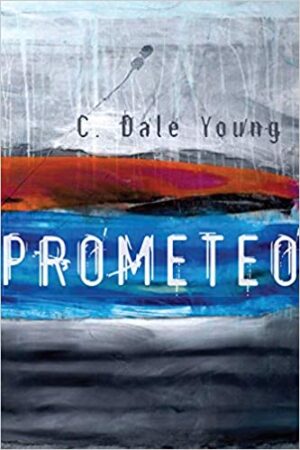 Feature image for 10 Questions for C.Dale Young