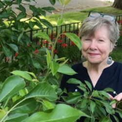 10 Questions for Valerie Sayers