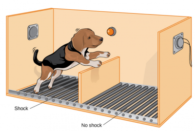 Feature image for PETP, or, Unintended Consequences