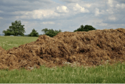 Shit (Earth Primer #8)