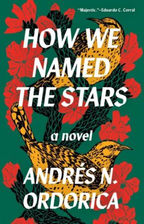 Feature image for Naming Stars: An Interview with Andrés N. Ordorica