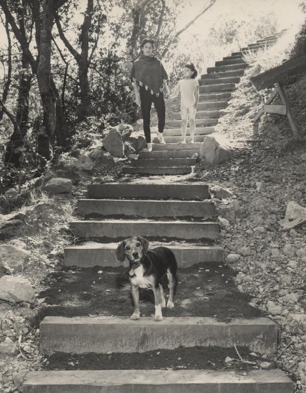 The Instinctual Dance of Stair Walking