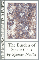 Cover image for Volume 39, Issue 4
