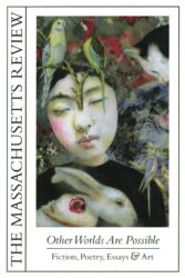 Cover image for Volume 51, issue 3