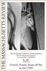 Cover image for Volume 50, Issue 3