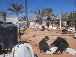 Famine Turned Me Into a Farmer in Gaza