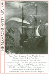 Cover image for Volume 28, Issue 2