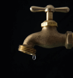 Autumn Journal on Autumn Journal: 19