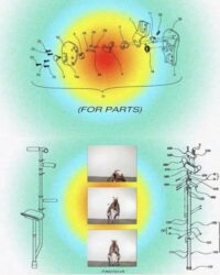 Panteha Abareshi“Chronically Ill and Severe” Artist