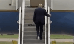 What’s the News in Trumpworld?