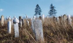 Pismo mom malom bratu