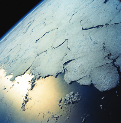 Feature image for The Elephant’s Memory