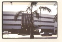 OUR AMERICA: Reading Horatio Alger in Karachi