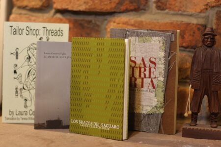 Feature image for 10 Questions for Laura Cesarco Eglin