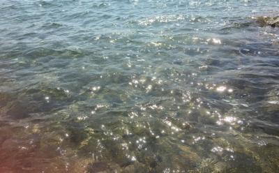 Feature image for Seasick