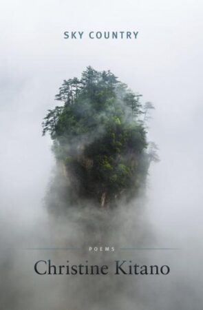 Feature image for 10 Questions for Christine Kitano