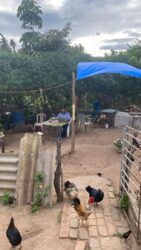 Lessons from Honduras: Storytelling the Truths We Cannot Name