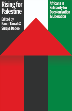 Feature image for Against the Flattening of Solidarity: On RISING FOR PALESTINE